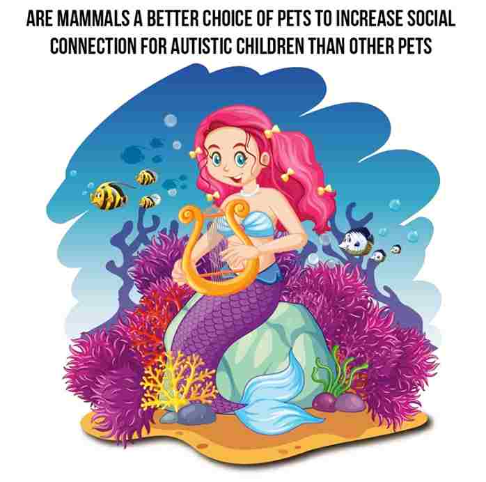 mammals a better choice of pets